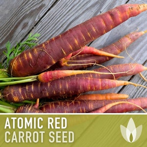 Atomic Red Carrot Seeds - Heirloom, Organic, Non-GMO