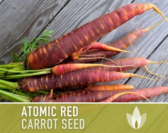 Atomic Red Carrot Seeds - Heirloom, Organic, Non-GMO
