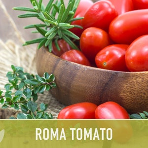 Roma Tomato Heirloom Seeds Paste Tomato, Seed Packet, Non-GMO, Open Pollinated image 6