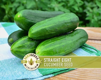 Straight Eight Cucumber Seeds - Heirloom, Vining, Pickling Cucumber, Open Pollinated, Non-GMO