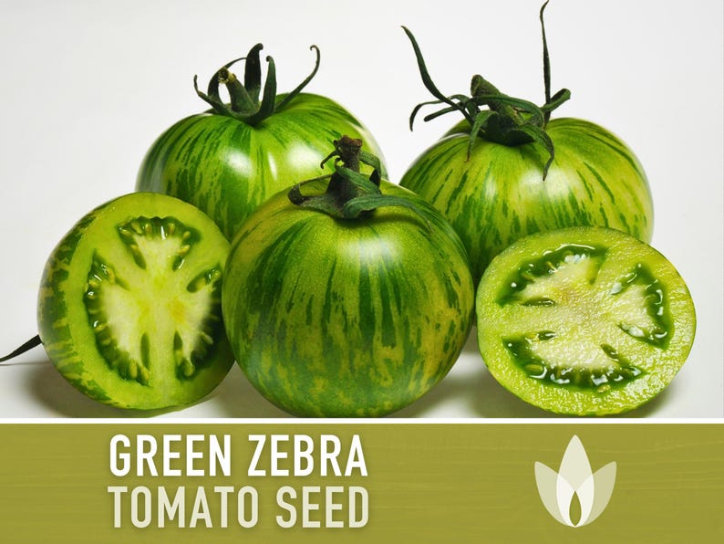 SeedGeeks Green Zebra Tomato Seeds