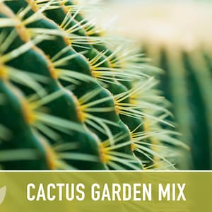 Cactus Garden Seed Mix | 50+ Seeds, Saguaro, Prickly Pear, Hedgehog, Santa Rita, Desert, Cactaceae image 8