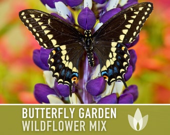 Butterfly Garden Flower Seeds Mix, Heirloom seeds, Flower Seeds, Pollinator garden, Wildflower seeds, Native seeds, Non GMO, Open pollinated