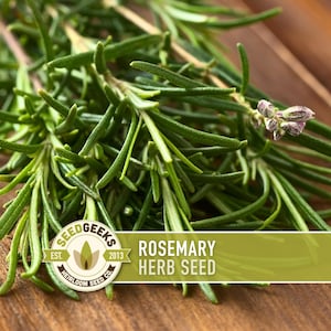 a close-up view of a bunch of fresh green rosemary sprigs on a wooden surface.