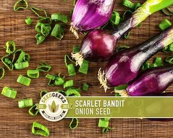 May include: Overhead shot of red onions and chopped green onions on a wooden surface. The image includes the text "Scarlet Bandit Onion Seed" and a logo for Seed Geeks.