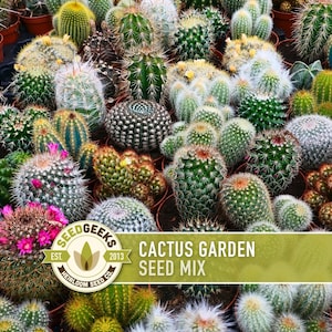 Cactus Garden Seed Mix | 50+ Seeds, Saguaro, Prickly Pear, Hedgehog, Santa Rita, Desert, Cactaceae image 1