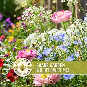 Shade Garden Wildflower Seed Mix – Non GMO Heirloom Seeds