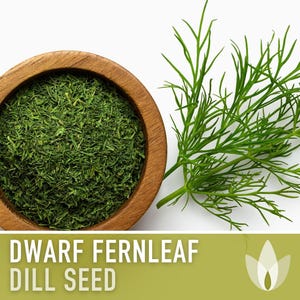 Dwarf Fernleaf Dill Seeds | 40+ Seeds, Heirloom, Culinary & Medicinal Herb, Butterfly Host | Anethum graveolens image 1
