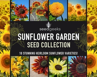 Sunflower Garden Seed Collection - 10 Cheerful Varieties of Stunning Heirloom Sunflowers, Gardener Gift, Stocking Stuffer, OP, Non-GMO