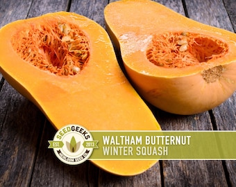 Waltham Butternut Squash Seeds - Sweet Heirloom, Non-GMO