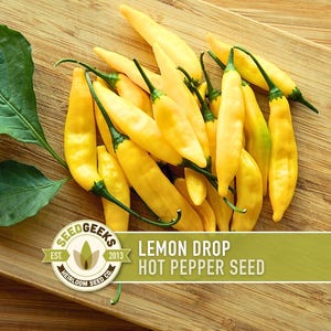 Lemon Drop Hot Pepper Seeds | 10+ Seeds, Heirloom, Tangy Flavor, Vibrant Color | Capsicum Baccatum