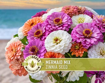 Mermaid Mix Zinnia Seed | 100+ Seeds, Heirloom Non-GMO Flower, Pollinator-Friendly, Drought Tolerant, Zinnia elegans