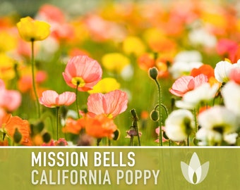 Mission Bells California Poppy Heirloom Seeds - Flower Seeds, Cool Weather Seeds, Flowers, Flower Mix, Jewel Tone