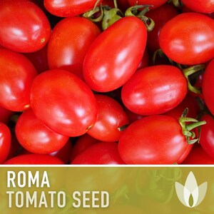 Roma Tomato Heirloom Seeds Paste Tomato, Seed Packet, Non-GMO, Open Pollinated image 2