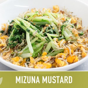 Mizuna Mustard Greens Heirloom Seeds image 5