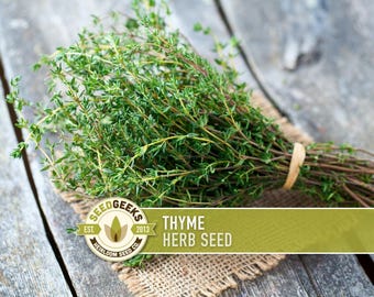 Thyme Herb Seeds | 200+ Seeds, Heirloom, Organic, Culinary, Medicinal, Rare, Perennial, Thymus vulgaris