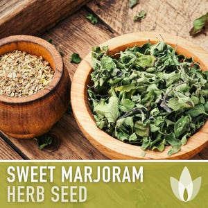 Sweet Marjoram Herb Seeds – Heirloom Culinary Herb, Non-GMO image 9