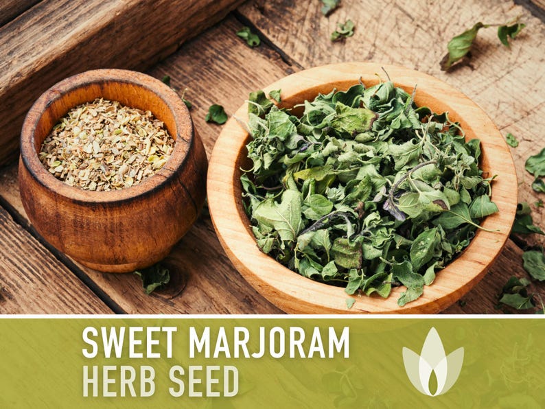 Sweet Marjoram Herb Seeds – Heirloom Culinary Herb, Non-GMO image 9