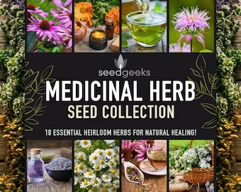 Medicinal Herb Seed Collection - 10 Essential Heirloom Medicinal Herbs, Gardener Gift, Gardening Gift, Stocking Stuffer, Non-GMO