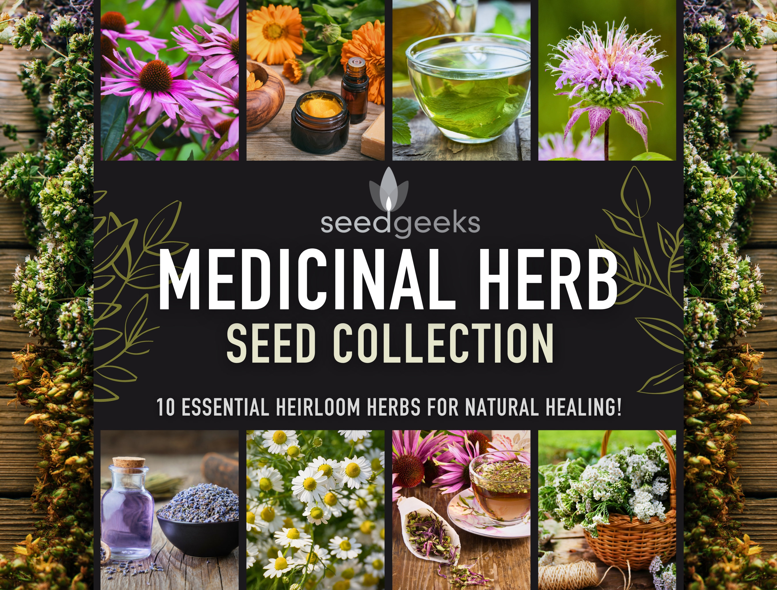 Medicinal Herb Seed Collection - 10 Essential Heirloom Medicinal Herbs, Gardener Gift, Gardening Gift, Stocking Stuffer, Non-GMO