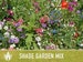 Shade Garden Wildflower Seed Mix - Seed Packets, Heirloom Seeds, Flower Seeds, Non GMO, Open Pollinated 