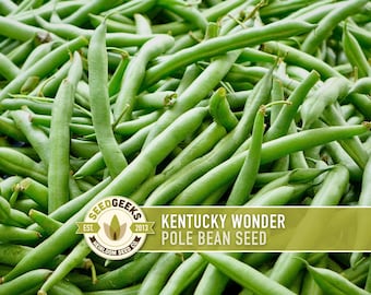 Kentucky Wonder Pole Bean Heirloom Seeds, 50 Seeds