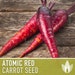 see more listings in the Root Vegetable Seeds section