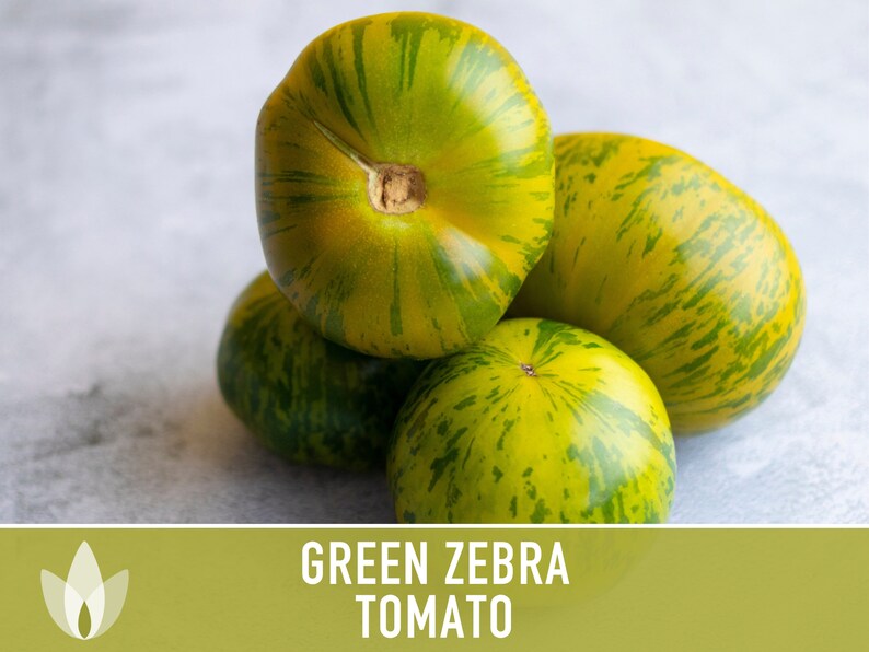 Green Zebra Tomato Seeds Heirloom, Indeterminate, Open Pollinated, Non-GMO image 8