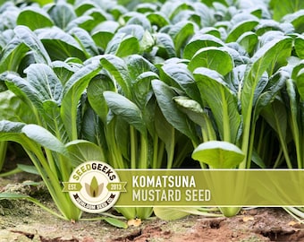Komatsuna Tendergreen Mustard Seeds - Heirloom, Mustard Greens, Non-GMO, Seed Packets, Open Pollinated
