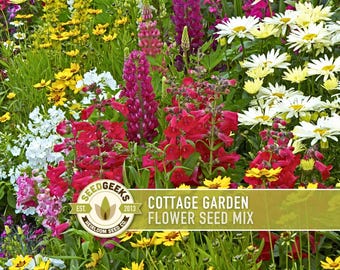 Cottage Garden Wildflower Seed Mix – Heirloom, Non GMO
