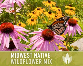 Midwest Native Mix Flower Seeds, Heirloom, Native, Flower Seeds