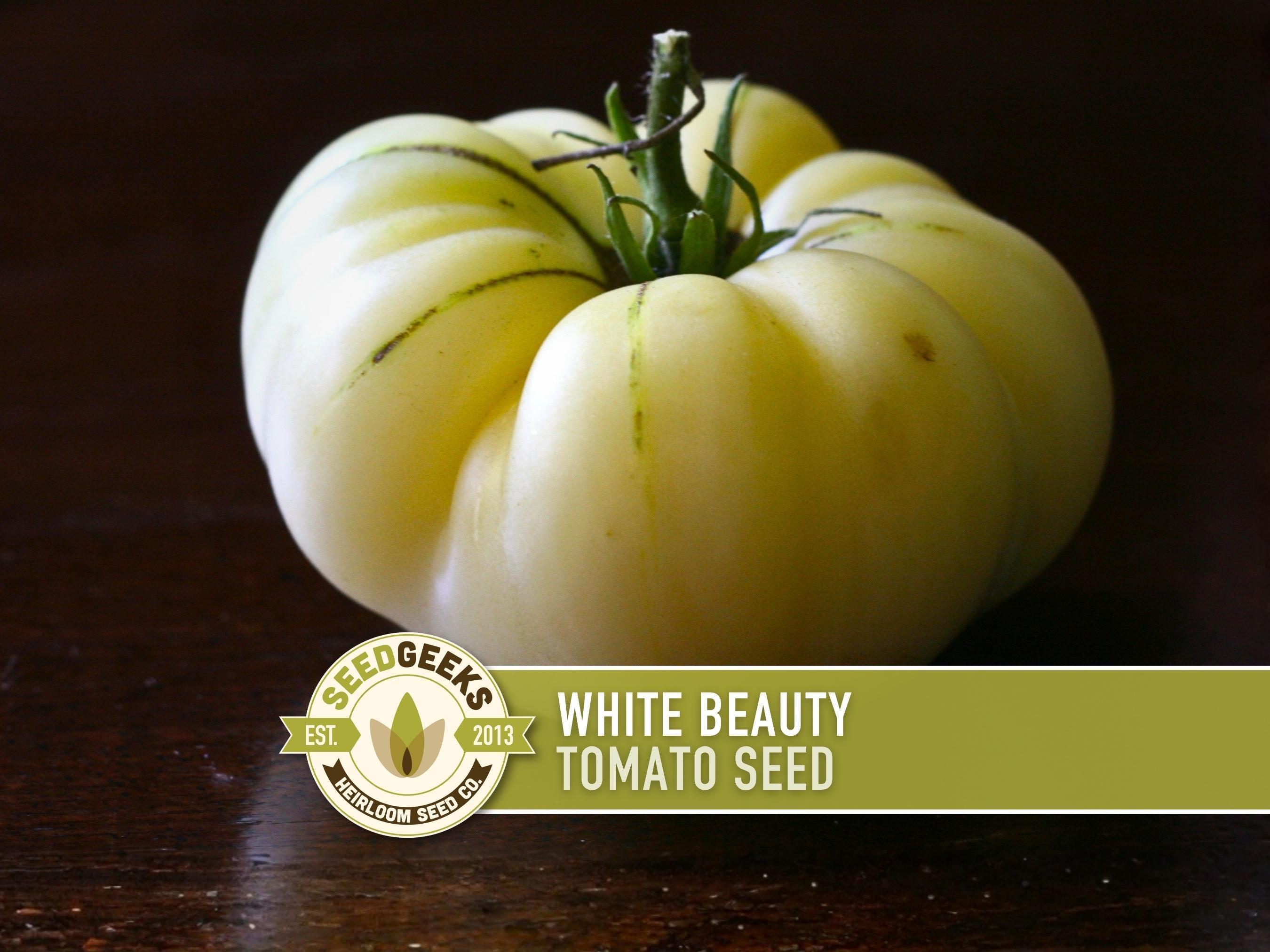 White Beauty Tomato Heirloom Seeds - Etsy