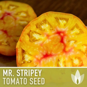 Mr. Stripey Tomato Heirloom Seeds