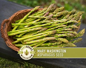 May include: A woven basket overflowing with fresh green asparagus spears. The asparagus has purple-tinged tips and is labeled "Mary Washington Asparagus Seed" with the Seed Geeks logo. The basket sits on a dark wooden surface.