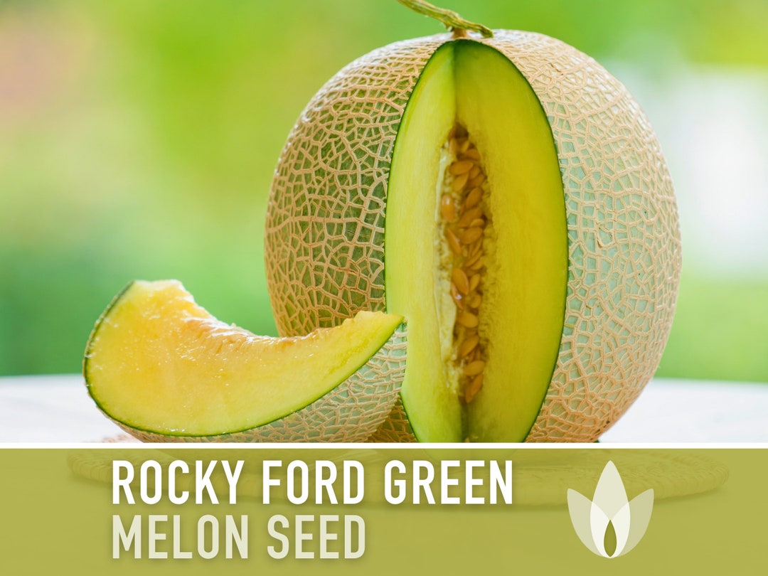 Rocky Ford Green Flesh Melon Seeds Heirloom Seeds, Eden Gem, Market