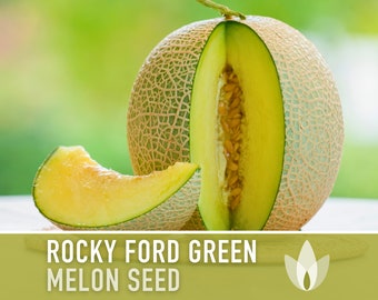 Rocky Ford Green Flesh Melon Seeds - Heirloom Seeds, Eden Gem, Market Melon, Fruit Seeds, Open Pollinated, Non-GMO