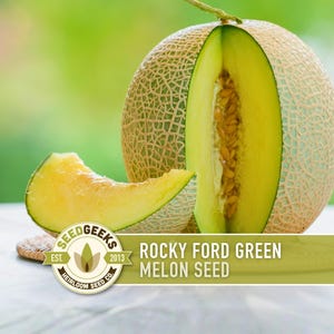 May include: A sliced Rocky Ford Green melon with a light green rind and bright yellow flesh. A wedge of the melon sits in front of the larger melon, which has a section cut out to reveal the seeds. The image includes the text "Rocky Ford Green Melon Seed".