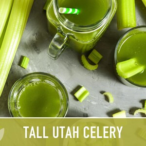 Tall Utah Celery Seeds - Heirloom, Open Pollinated, Non-GMO image 9