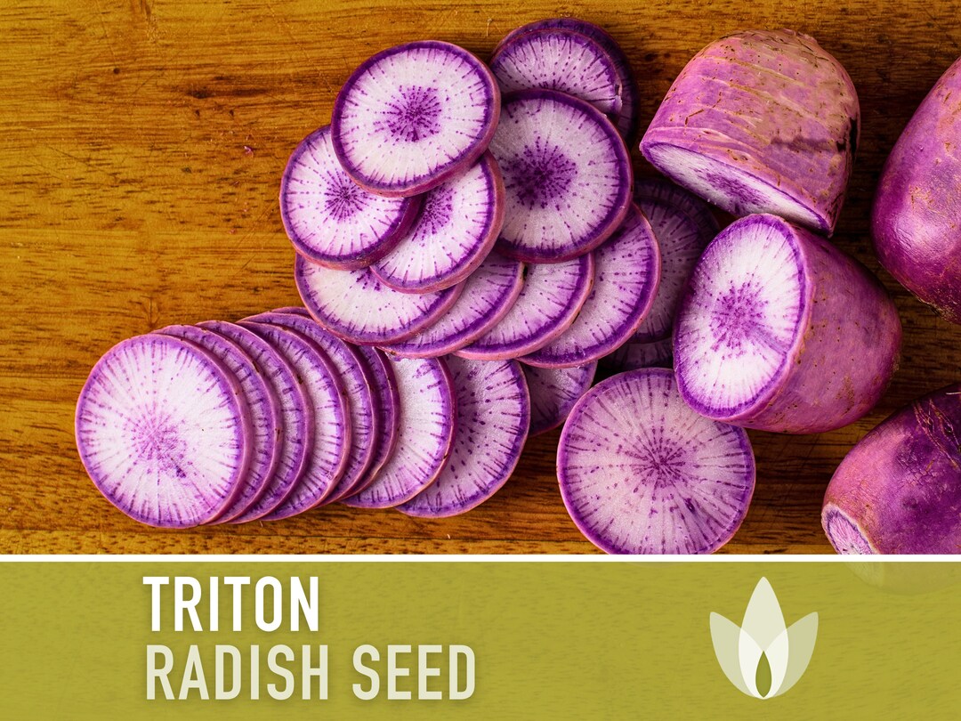Grow Your Own! Radish Seeds – Daikon, Non-GMO Heirloom, Fresh Garden Veggies