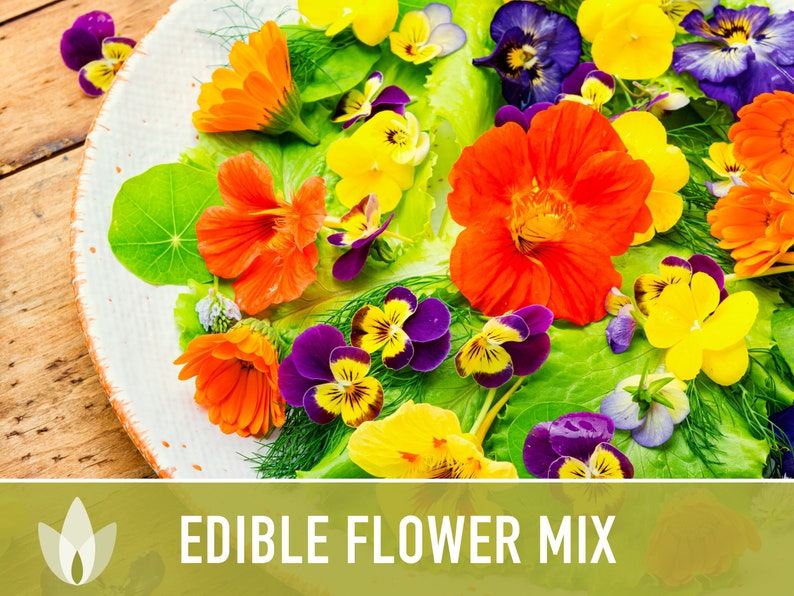 Edible Flower Heirloom Seed Mix Seed Packets Flower Seeds Etsy