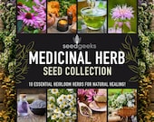 Artikel aus diesem Shop