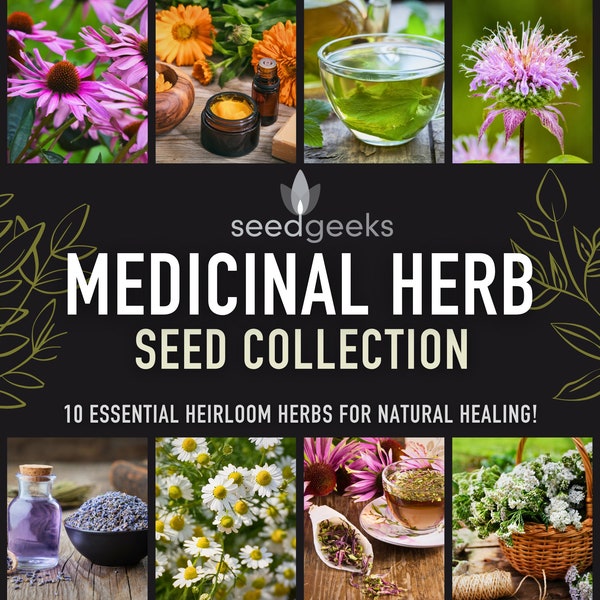 Medicinal Herb Seed Collection - 10 Essential Heirloom Medicinal Herbs, Gardener Gift, Gardening Gift, Stocking Stuffer, Non-GMO
