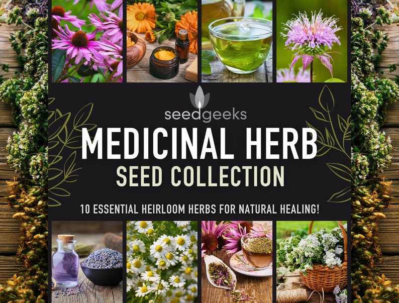 Medicinal Herb Seed Collection 10 Essential Heirloom Medicinal Herbs, Gardener Gift, Gardening Gift, Stocking Stuffer, Non-GMO image 1