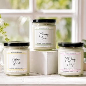 Puede incluir: Se muestran tres velas en tarros de vidrio con tapas negras. Las etiquetas dicen "Morning Dew", "Citrus Grove" y "Blushing Peony". La vela "Morning Dew" se describe como aire de primavera, verdes frescos, y la vela "Citrus Grove" se describe como mandarina, lim&oacute;n y hierba verde. Cada vela es de 227g.