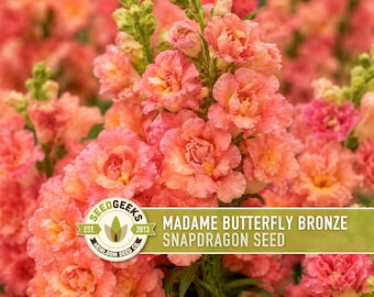 Madame Butterfly Bronze Snapdragon Seeds | Double Ruffled Blooms, Cottage Garden, Nectar Flowers, Antirrhinum majus