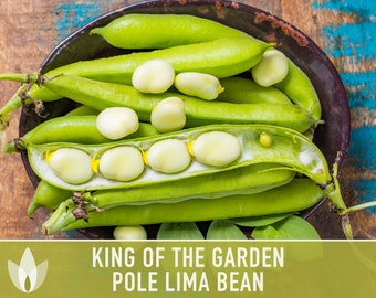 Lima Bean, King Of The Garden Seeds - Heirloom Seeds, Butter Beans, Pole Bean, Open Pollinated, Untreated, Non-GMO