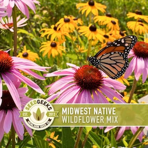 Midwest Native Wildflower Seeds, Heirloom Mix image 1