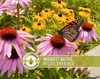 Midwest Native Wildflower Seeds, Heirloom Mix