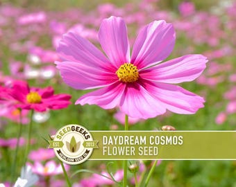 Cosmos, Daydream Heirloom Flower Seeds - Cut Flowers, Pollinator Friendly, Butterfly Garden, Non-GMO