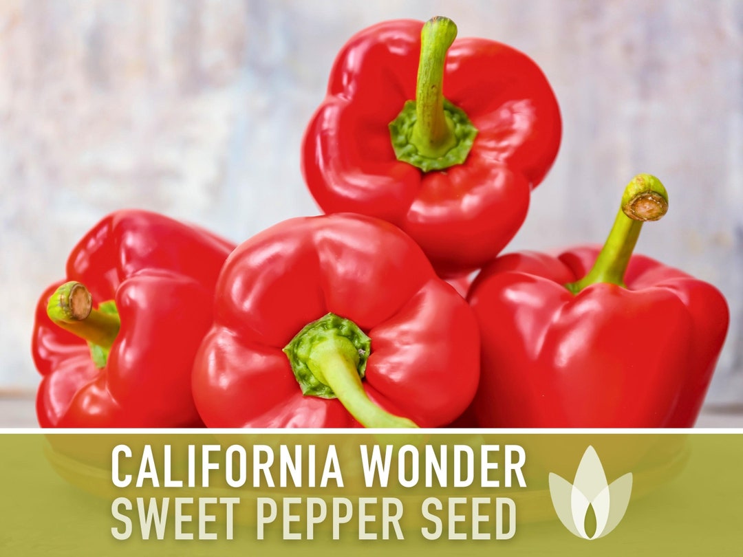 California Wonder Sweet Pepper Heirloom Seeds Bell Pepper, Red Pepper